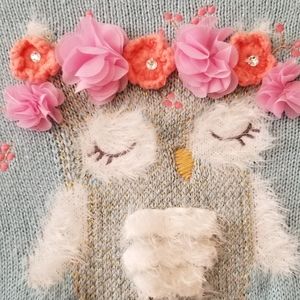 Owl knit shirt dress